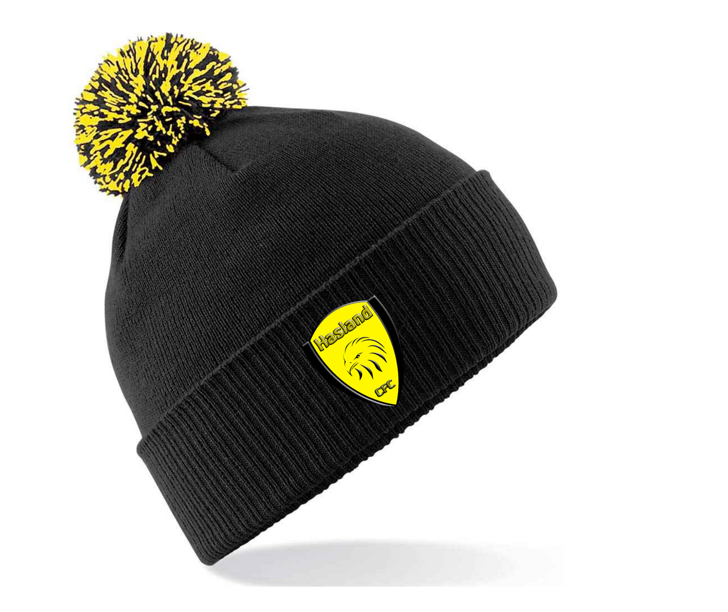 Hasland Embroided Beanie Hat (one size fits all)