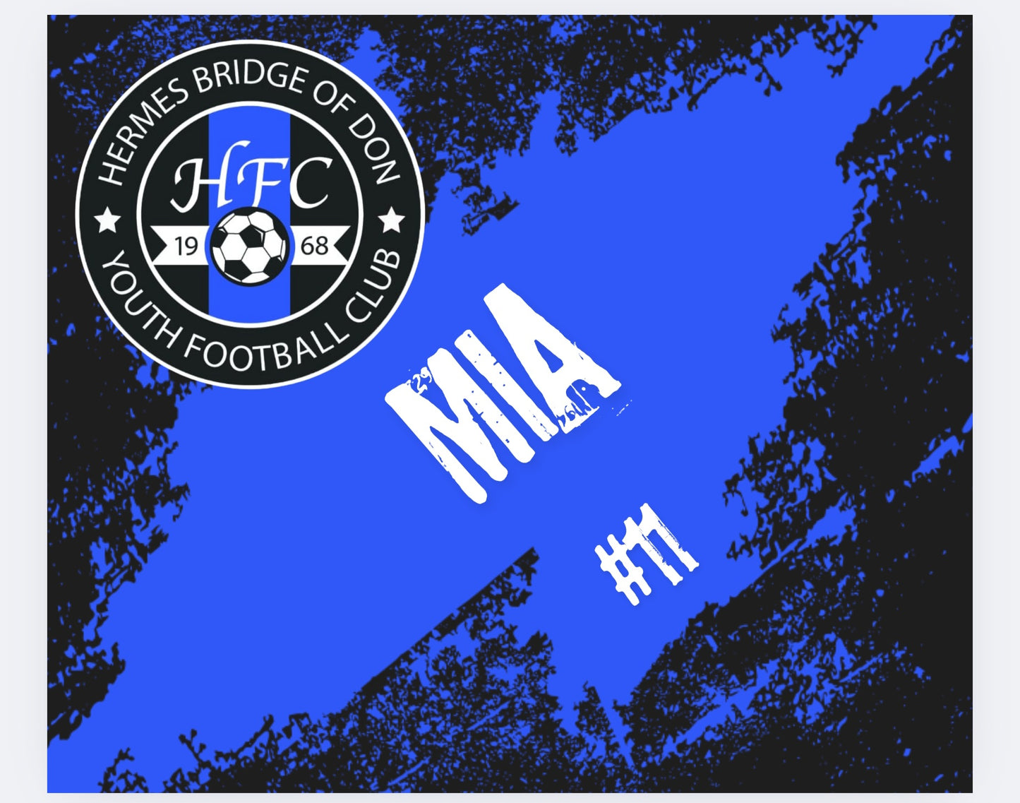 Hermes Bridge Team Water Bottles (please see description) free lasered mug with team orders.